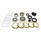 SYNCHROTECH BRASS REBUILD KIT 01-05 HONDA INTEGRA DC5 & 01-04 CIVIC TYPE R EP3 K20 DUAL CONE